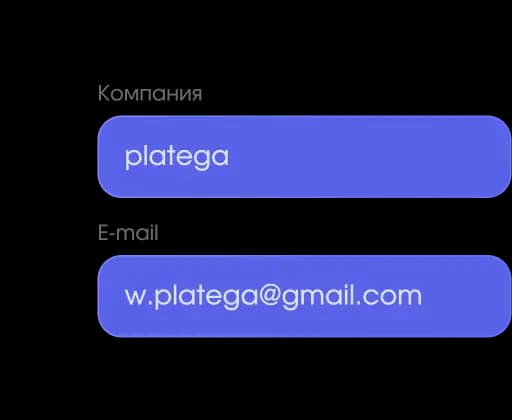 Процессинг за 1 день: верификация по email